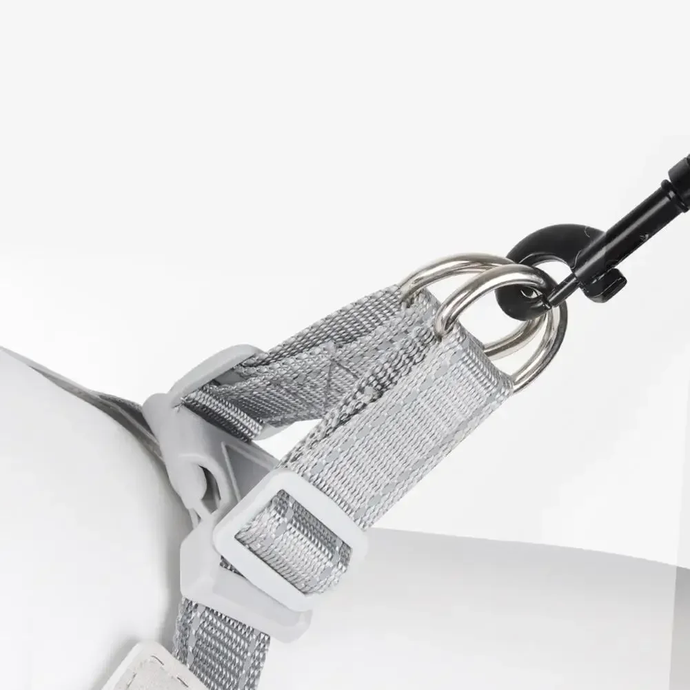 Ensemble harnais et laisse réfléchissants pour chien, maille respirante, Anti-fuite, toutes tailles réglables, fournitures pour animaux de compagnie sûres pour la nuit