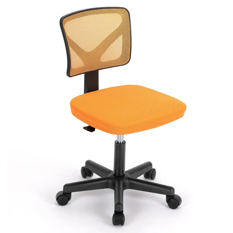 

Task Chair with Padded Seat for Home Office,