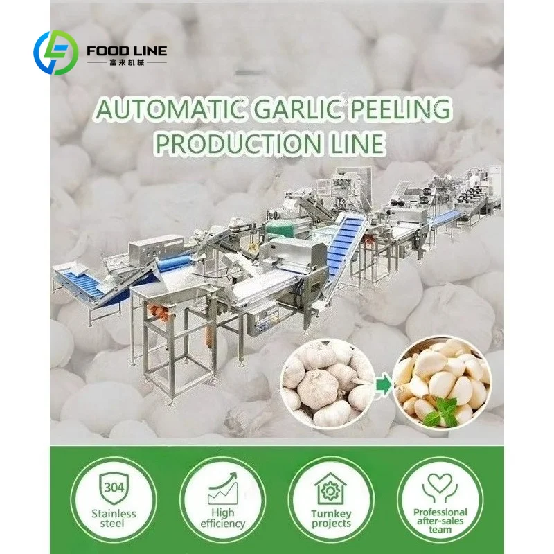 Customized Automatic Roller Garlic Separating Processing Unit Machine Air Compressors Garlic Peeler Line for Peeling Garlic