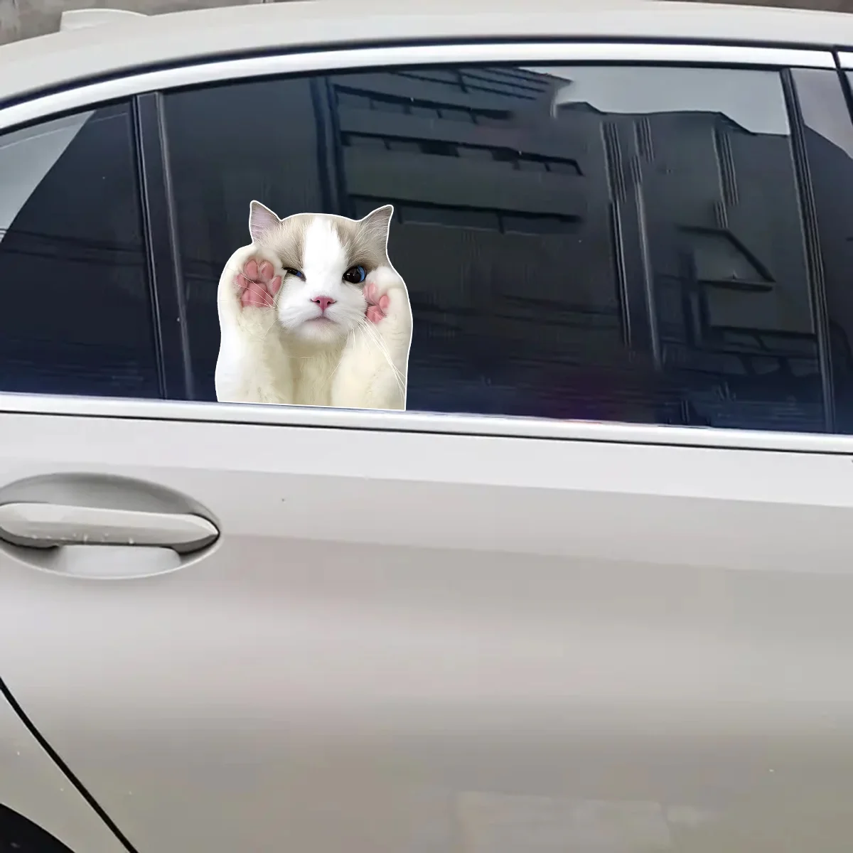 1pc-18.8x18cm Use our cute, funny and humorous cat stickers to make your car stand out - suitable for all vehicles  J-411