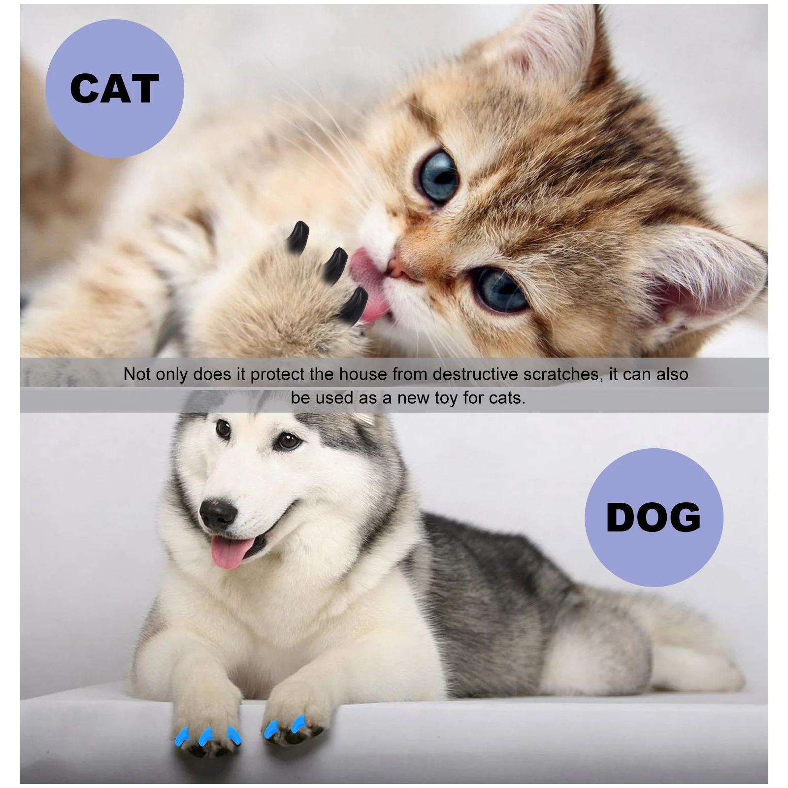 

80Pcs Cat Nail Caps Silicone Durable Protective Claw Covers Prevent Scratching Furniture Cat Paw Care Kit Adhesive Glue