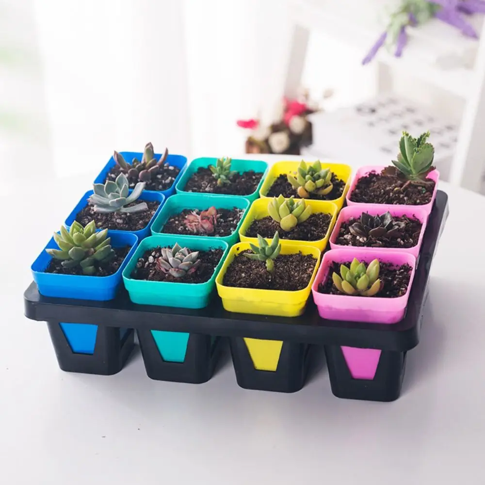 6/12 Hole Flower Pots Storage Tray Tool Organization Black Potted Bracket Thickness Greenhouse Seeding Boxes Dish