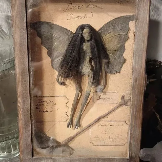 New Mummified Fairy in Display Box - Unique Fairy Decor Frame  Living Room Decoration  Desk Decoration