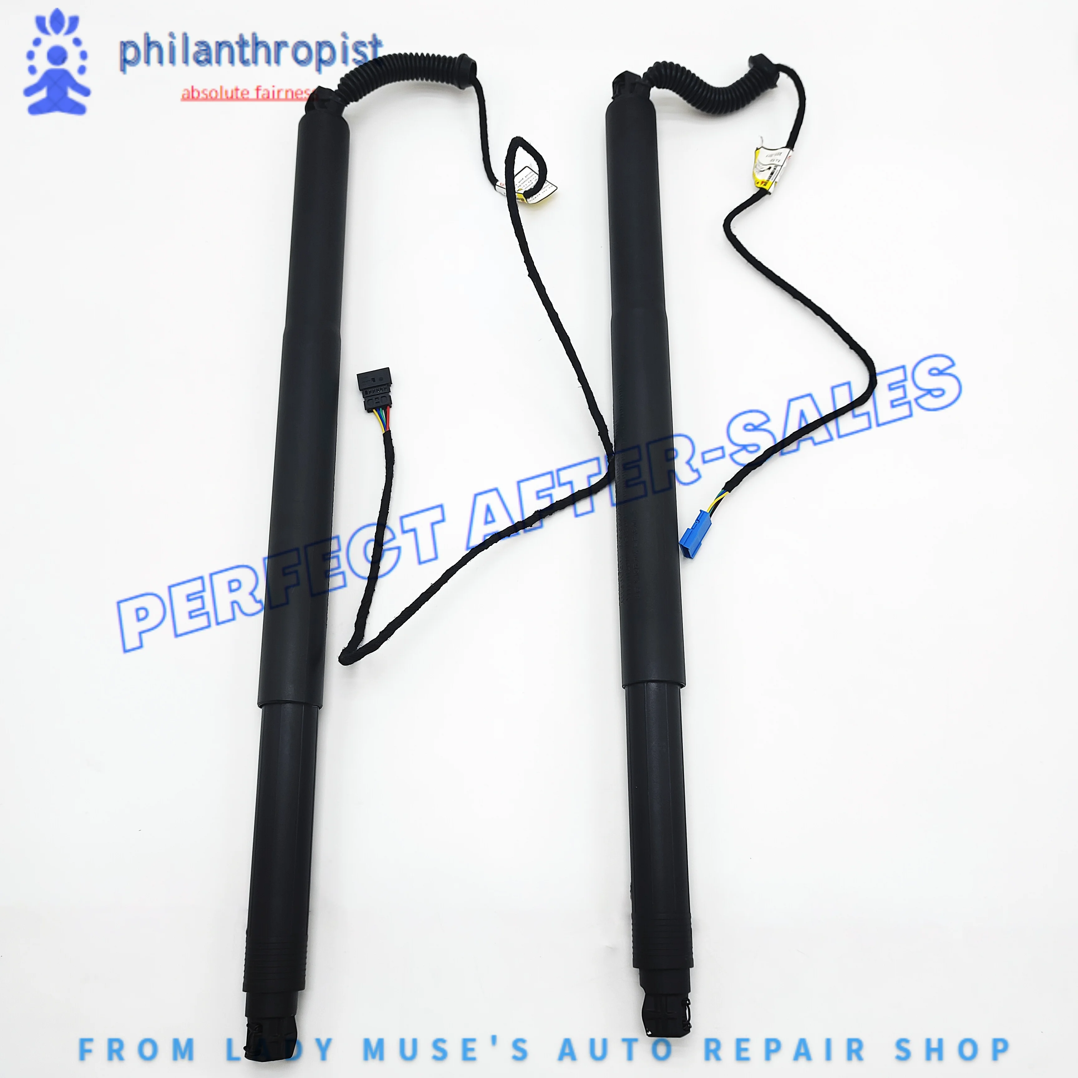 

51247339432 2X Rear Gas Struts - Auto Tailgate Boot 51247339431 For BMW X4 F26