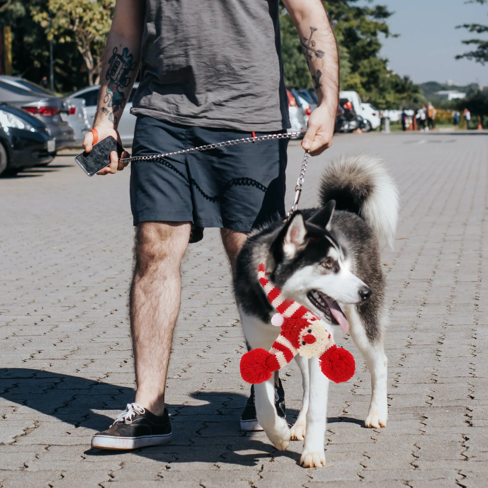 

2Pcs Pet Christmas Knitted Scarf Red Winter Neck Warmer Dog Cat Costume Accessories Pet Knitted Scarf Winter Animals Scarves