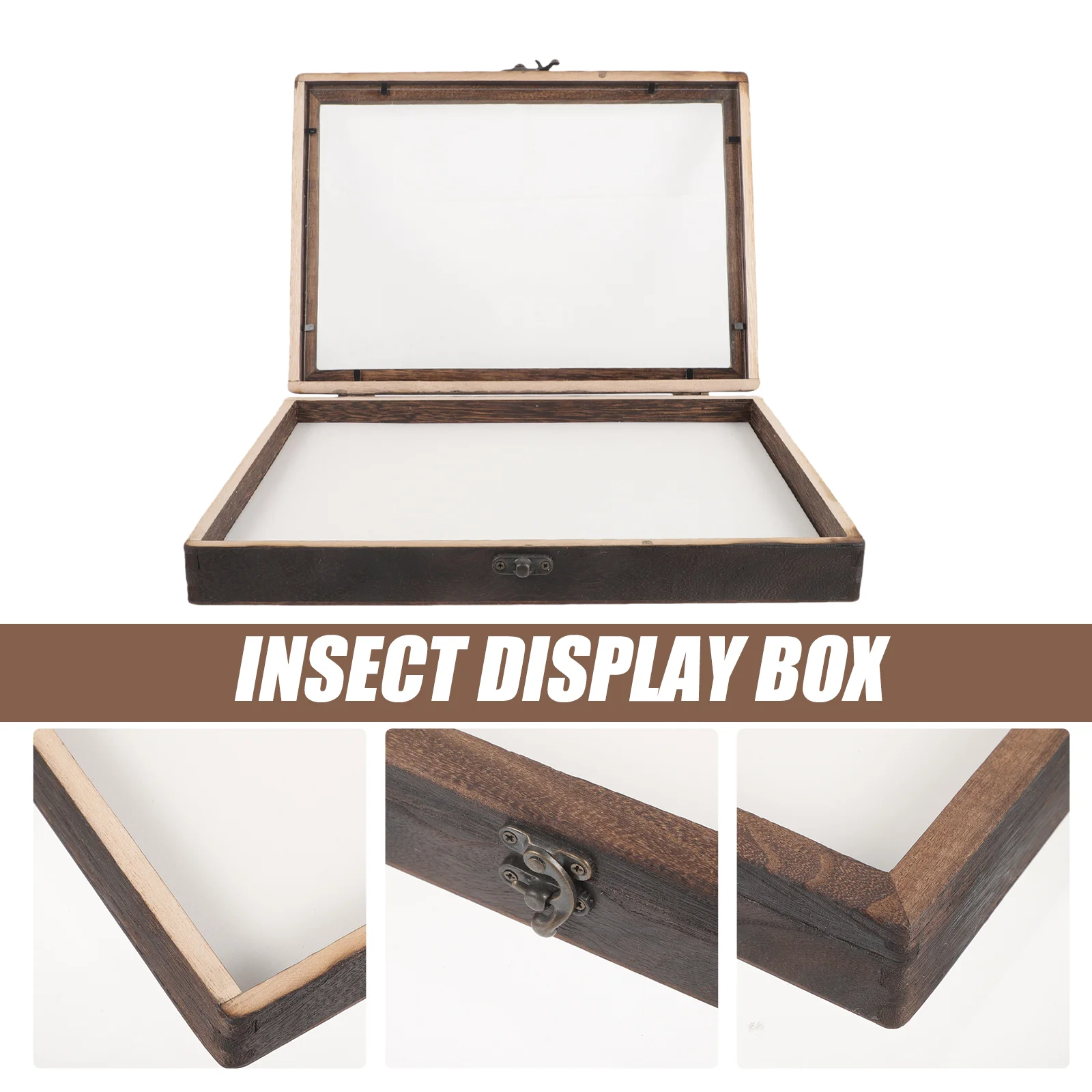 Insect Display Box Catcher Kit for Kids Foam Pinning Board Case Specimen Holder Plant Cases Dried Flower Storage Jewelry