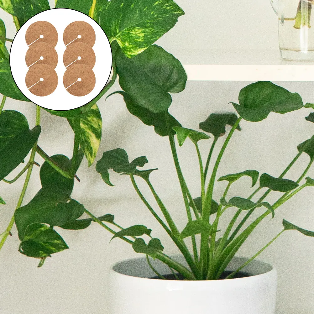 

6 Pcs Coconut Fiber Mats for Flower Pots Durable Coir Crafts Anti Grass Weed Barrier Plant Protective Cushions Thick Long