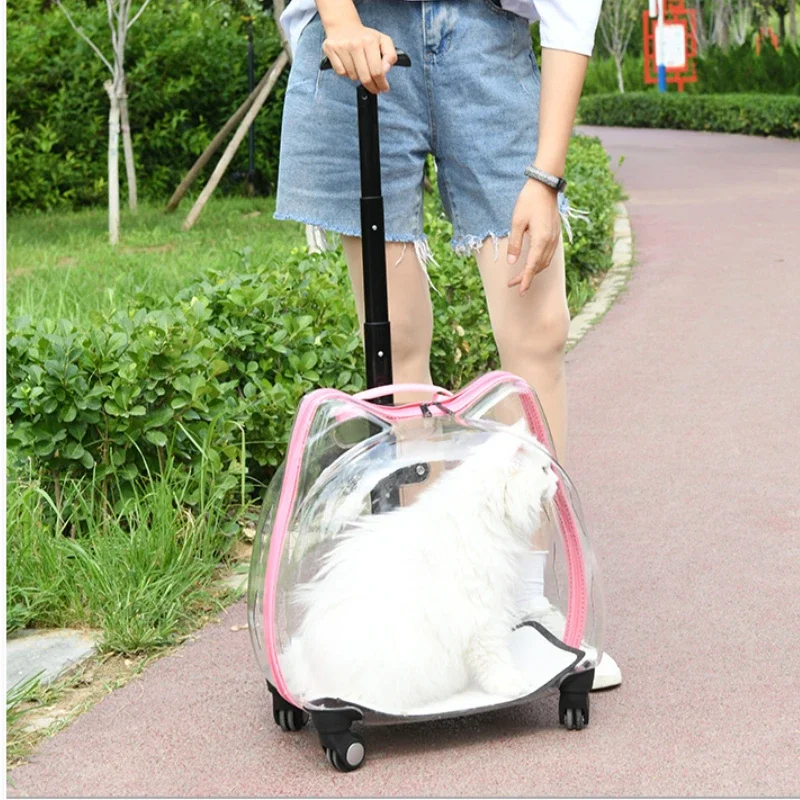 

Cat Bag Trolley Case Pet Outdoor Convenient Carrying Bubble Box Transparent Space Capsule Dog Outdoor Luggage Cat Backpacks