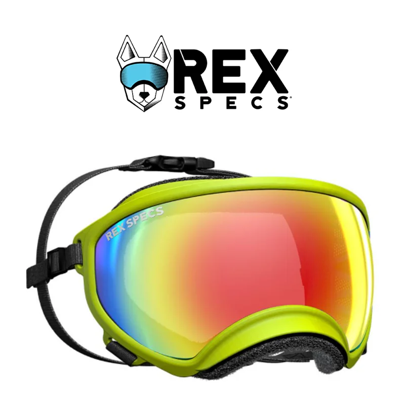 Rex Specs Dog Goggles