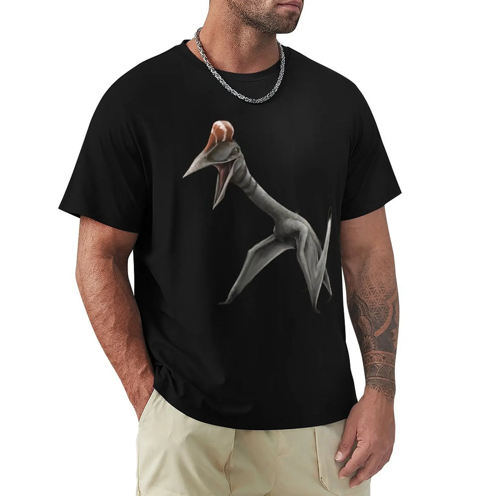 

Hatzegopteryx T-Shirt basketball graphic tees Aesthetic clothing anime clothes oversized t shirt men