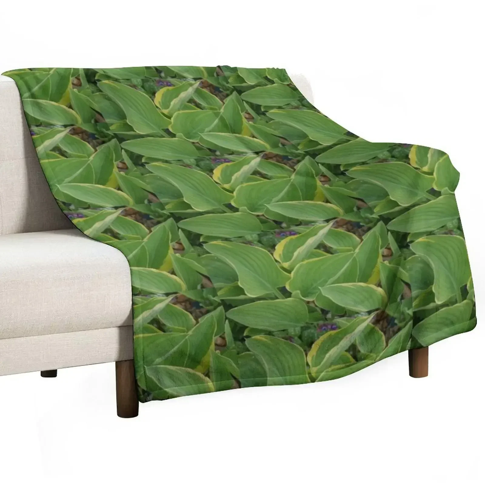 

Hosta Throw Blanket Picnic For Decorative Sofa Blankets