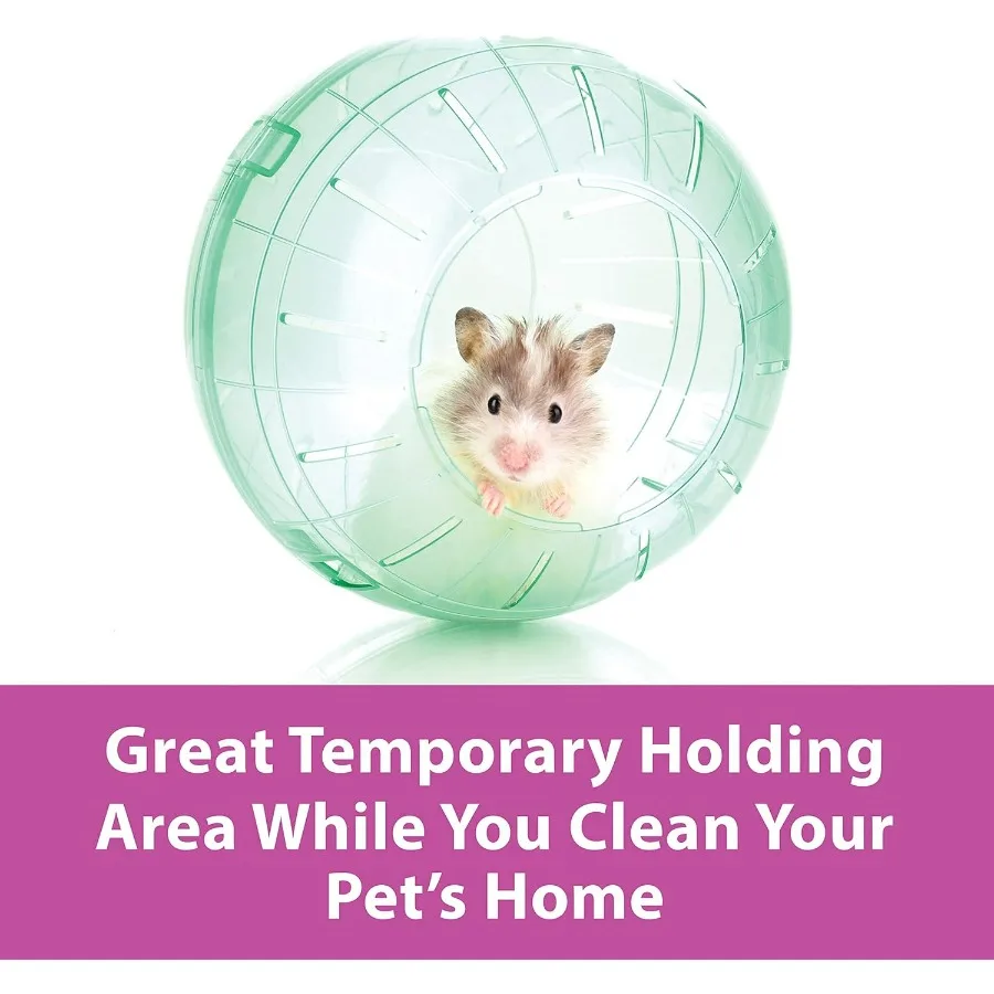 7 كرة تمرين شفافة لهامستر الحيوانات الأليفة Gerbils، حل أنشطة داخلية آمن وشفاف ومتين للقوارض الصغيرة