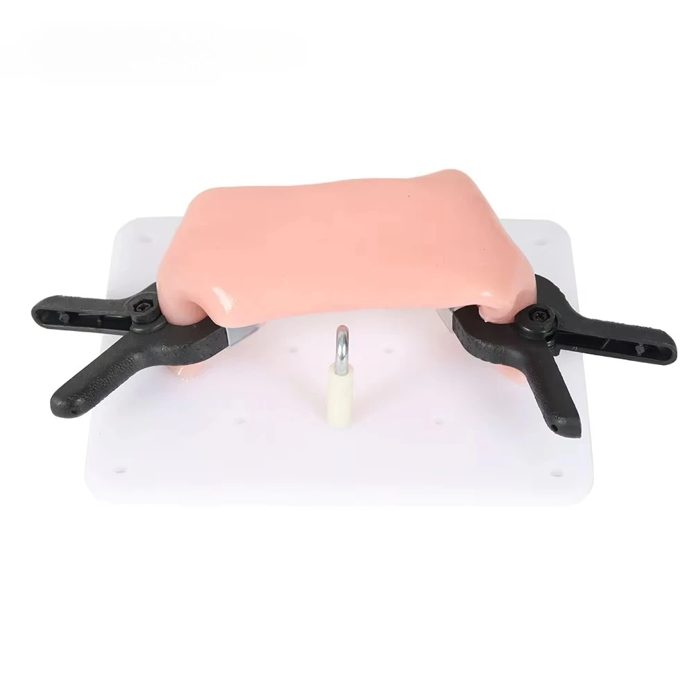 

Intestinal suture pad training module Intestinal suture practice model Intestinal anastomosis training model