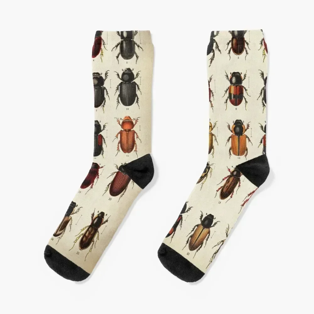 Beetle Chart, entomology Socks professional running anti slip football floral Soccer Socks For Men Women's