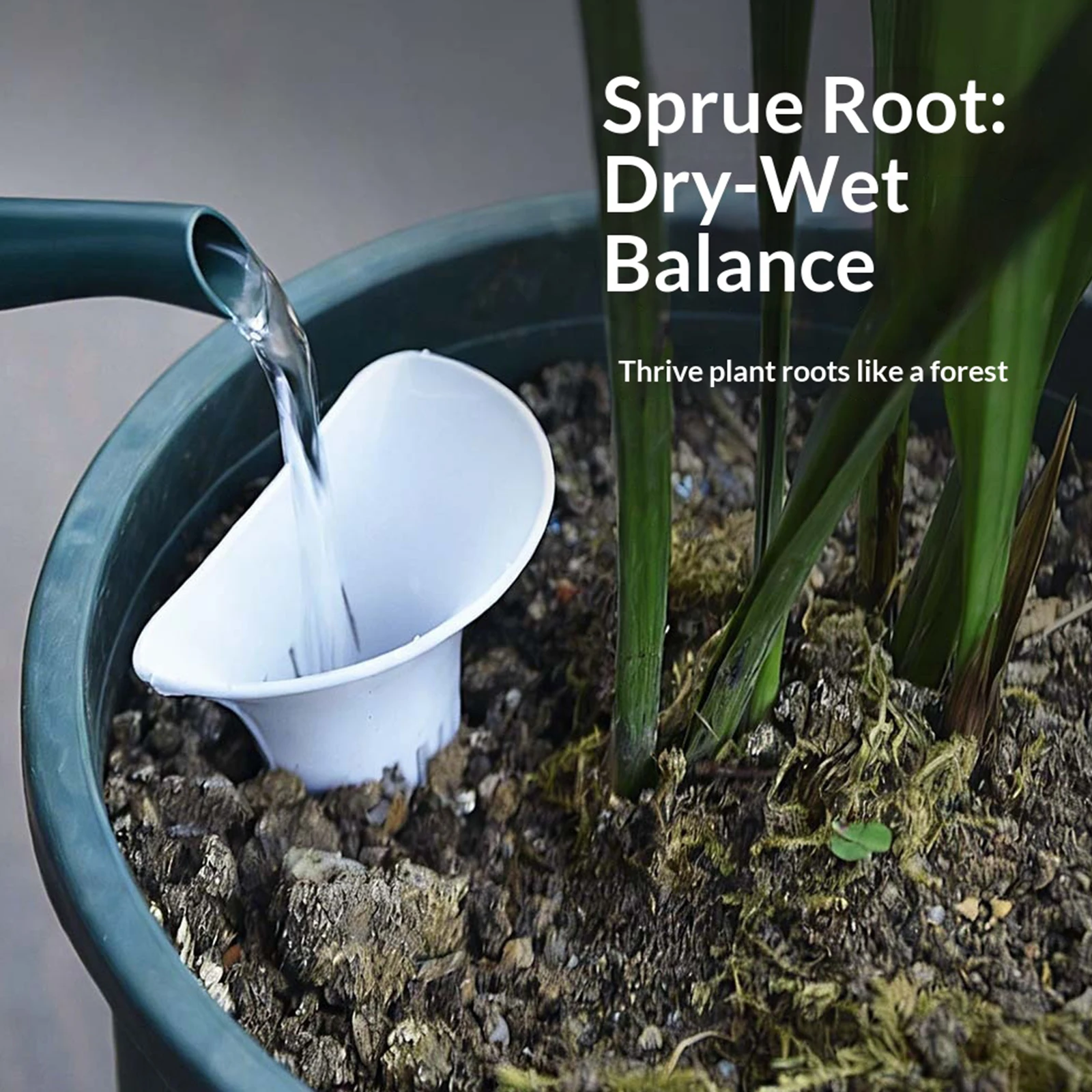 Conical Plant Breathable Water - Bonsai Garden Youtube ulasan dan harga