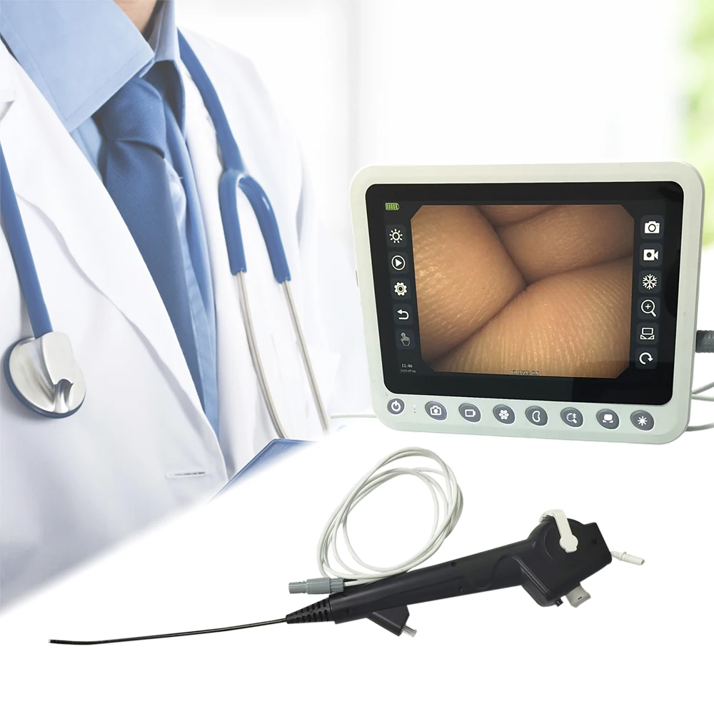 Disposable Endoscope 3.8mm Cystoscope Portable for Veterinary Clinical Diagnosis Flexible Digital Usb Endoscope OEM