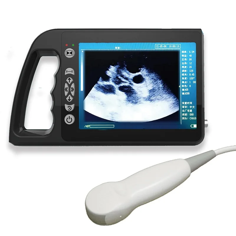 

Modern Outdoor Veterinary Ultrasound Scanner with 5.0MHZ Slightly Convex Probe ABS Material for Cats & Dogs Animal Care