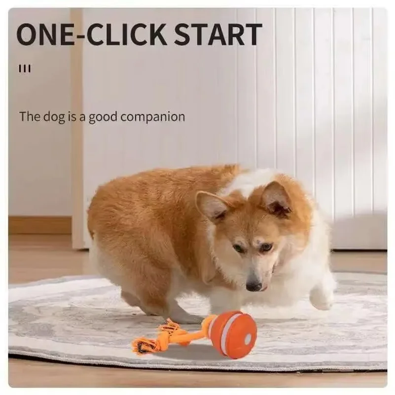 스마트 강아지 장난감, 움직임 감지 기능이 있는 자동 - Automatic Moving Dog Ball 리뷰 및 가격