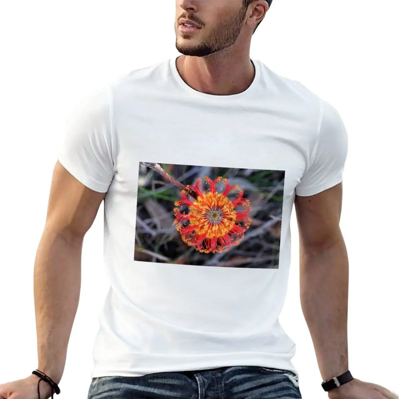 New Banksia ericifolia - Heath-leaved Banksia T-Shirt vintage clothes sweat man clothes funny t shirts men