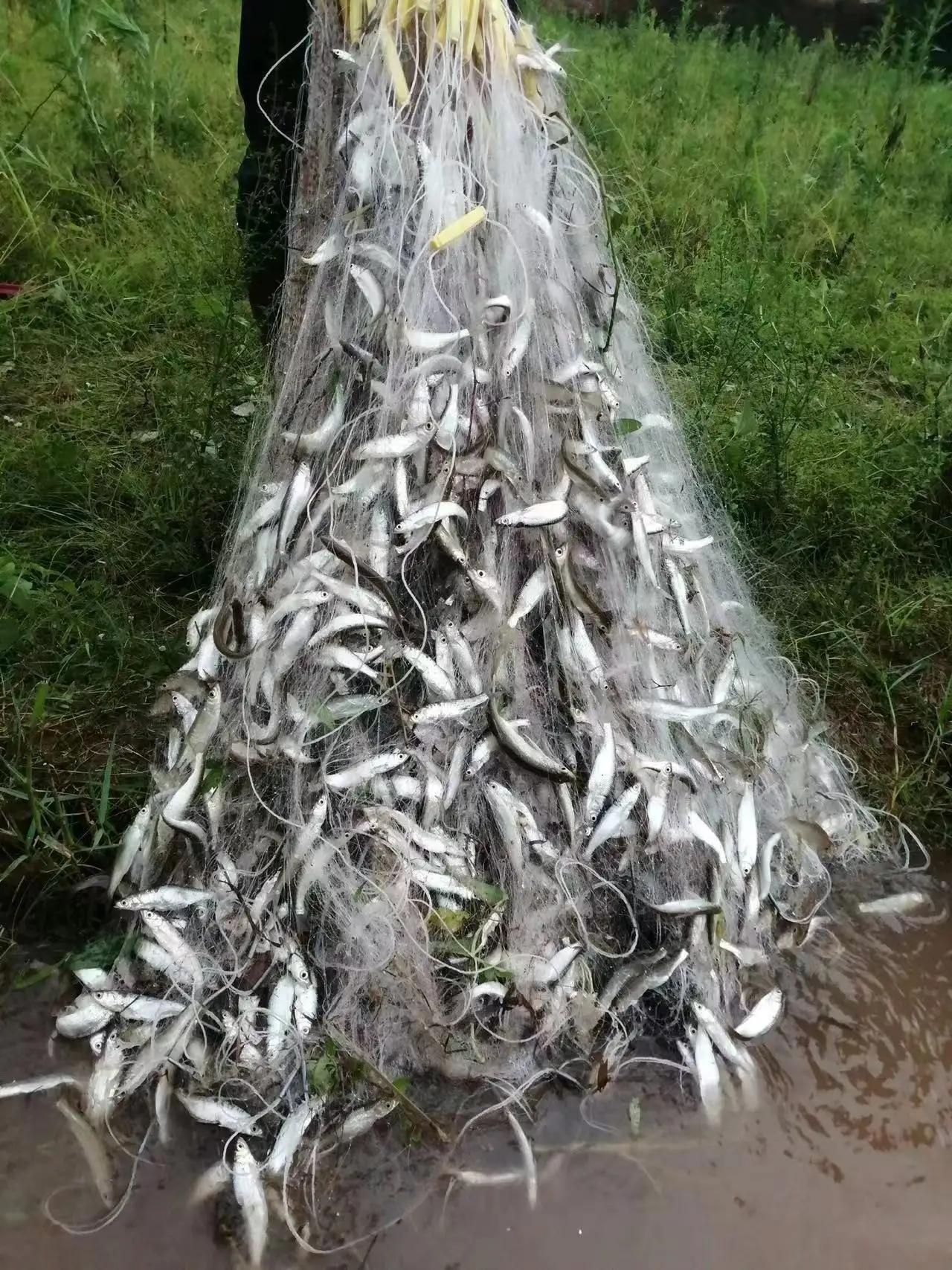 rede de pesca pegajosa de camada unica rede suspensa afundando 50m 01