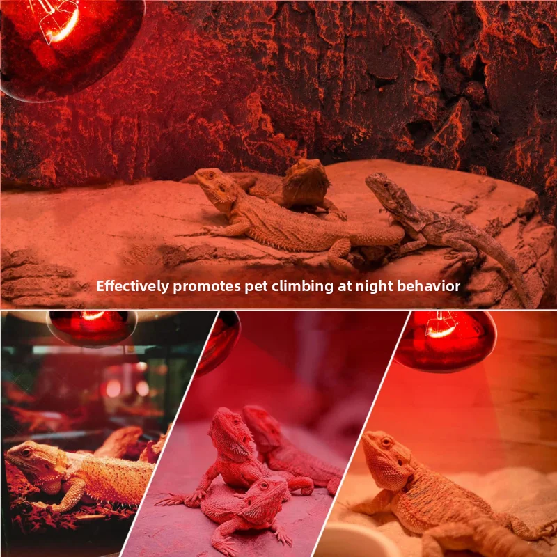 Full Spectrum 75W Reptile Lamp UVA+UVB Turtle Basking UV Light Bulbs Heating Lamp Amphibians Lizards Temperature Controller