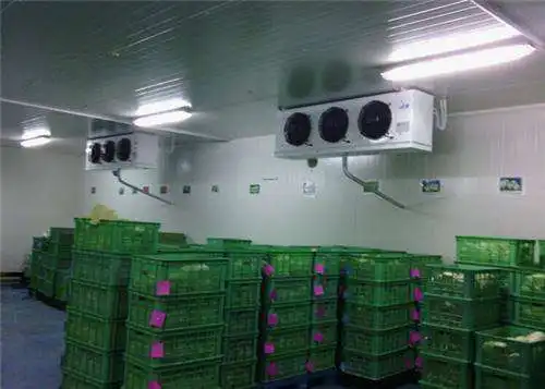 Cold Room Refrigeration Unit Condensing Unit Power Saving Refrigeration Unit For Cold Storage