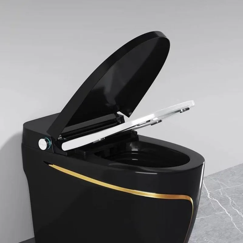 

Phnom Penh smart toilet color flush automatic induction flip deodorant drying voice