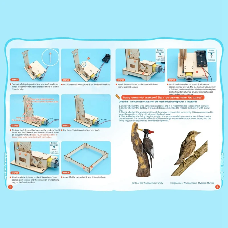 DIY Woodpecker Assemble Model Science Experimental Tool Kit STEM Kit For Learning Wooden Puzzle