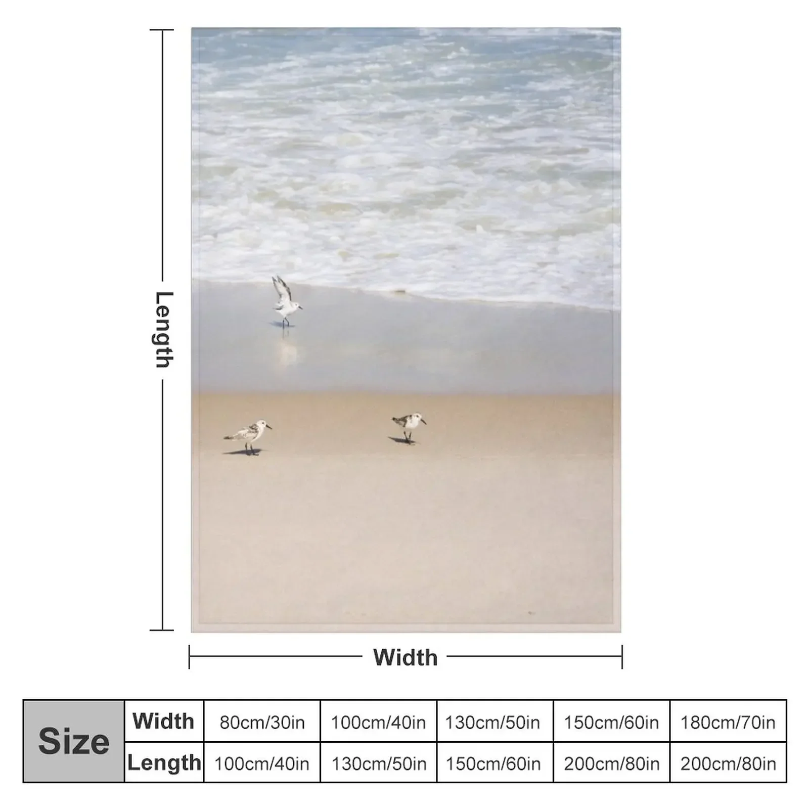 Shorebirds on the tropical beach Throw Blanket cosplay anime manga Decorative Sofa Beach Blankets