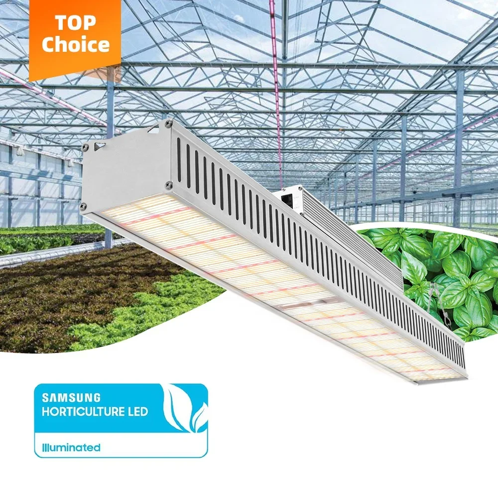 Sunplus New Greenhouse Supplemental Led Top Light High Ppfd 600W Lm301H Full Spectrum Slim Horticulture Grow Light Led Bar