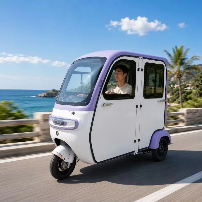 1000W Electric Tricycle 60V 300-400kg Payload 15-20 Grade Ability EEC Certified for 3-Passenger Transport