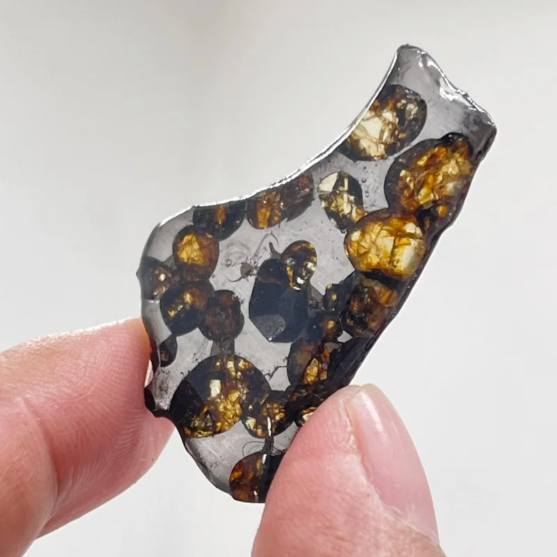 Natural Polished Seymchan Pallasite Meteorite Slice Iron Nickel Matrix Translucent Olivine Crystal For Hobby Collection QA880