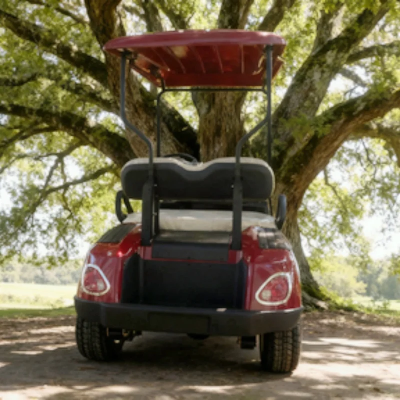 Golf Cart Factory Direct Sales 2 Seats Cheap Electric Golf Cart With 5KW AC Motor Lithium Battery Side Mirror With Turning Light
