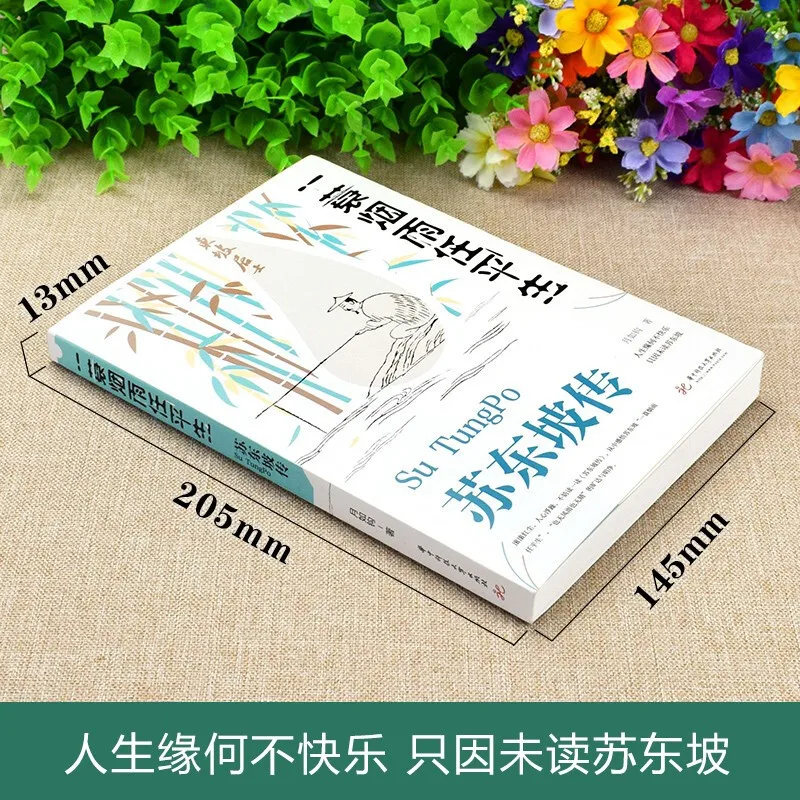 Biography of Su Dongpo, One of The Eight Great Masters of The Tang and Song Dynasties, Su Shi, Biographical Books