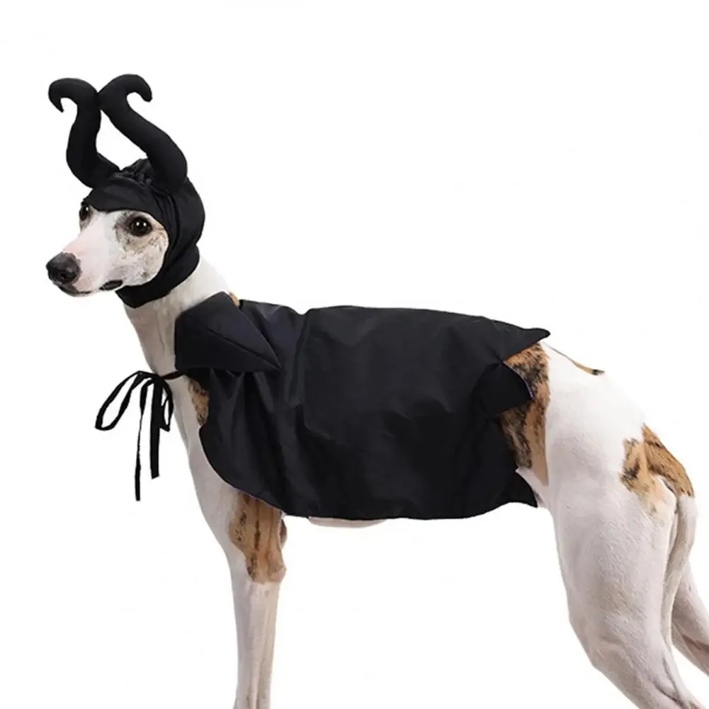 Halloween Pet Witch Costume Adjustable Funny 3D Pet Cloth For Small Large Dog Cat Cosplay Hat Cloak Puppy Halloween Accessories