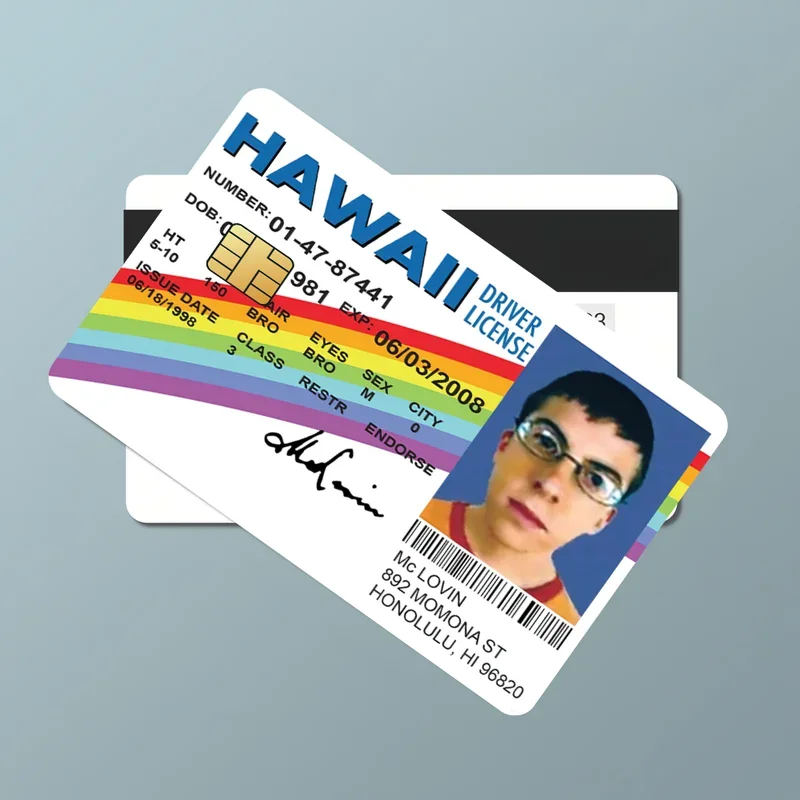 Bank/Bus Pass Protection Set, 4-Piece Mclovin Card Cover, Waterproof Decoration, Credit/Debit Card Sleeve