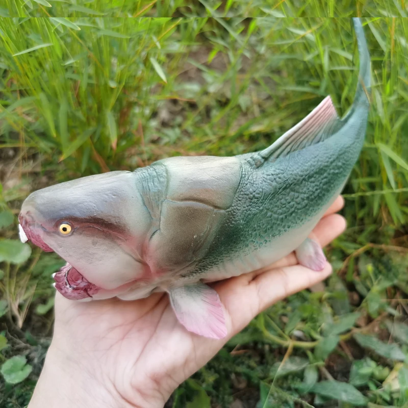 โมเดลสัตว์ทะเลน้ำตื้นสมจริง สำหรับตกแต่งบ้าน ของเล่นเสริมพัฒนาการเด็ก ของสะสม