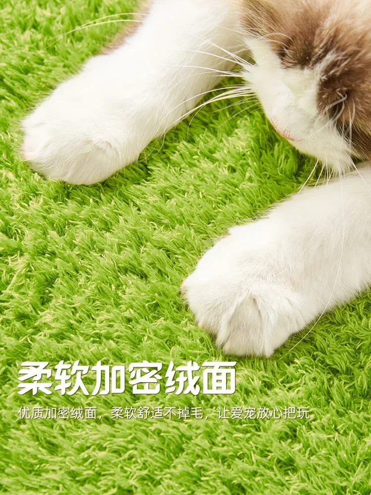 عش القط الأفوكادو العالمي لجميع المواسم، سرير متكامل بإطار تسلق لطيف وجذاب