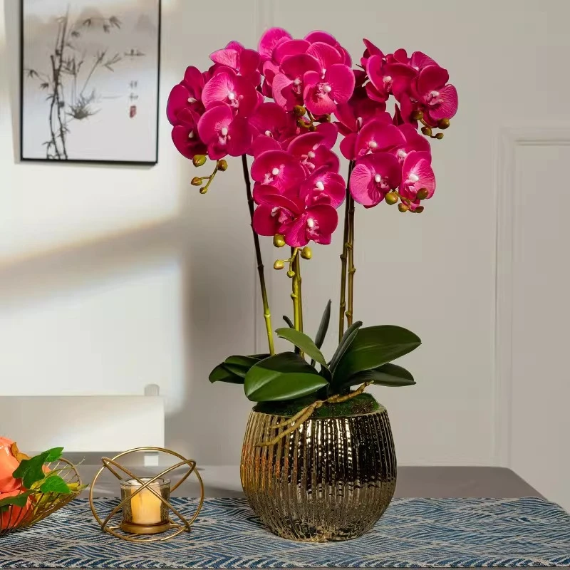 

Simulation Flower Phalaenopsis Living Room Ornament Bonsai