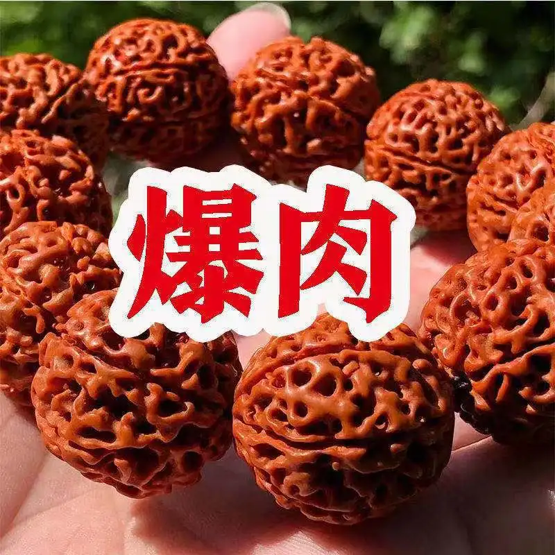 High Quality Original Seed Red Skin Rudraksha Buddha Beads Rosary Bracelet 6 6 7 7 8 Eight Pieces