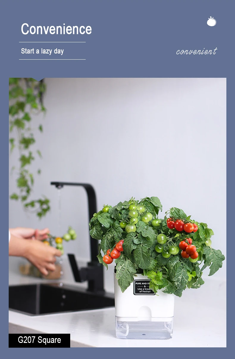 Neue Selbst Bewässerung Blumentopf Magnetische Kunststoff Selbst-saugfähigen Baumwolle Seil Blumentopf Für Doppel-deck Faul Blumentopf garten Liefert – Detail 19