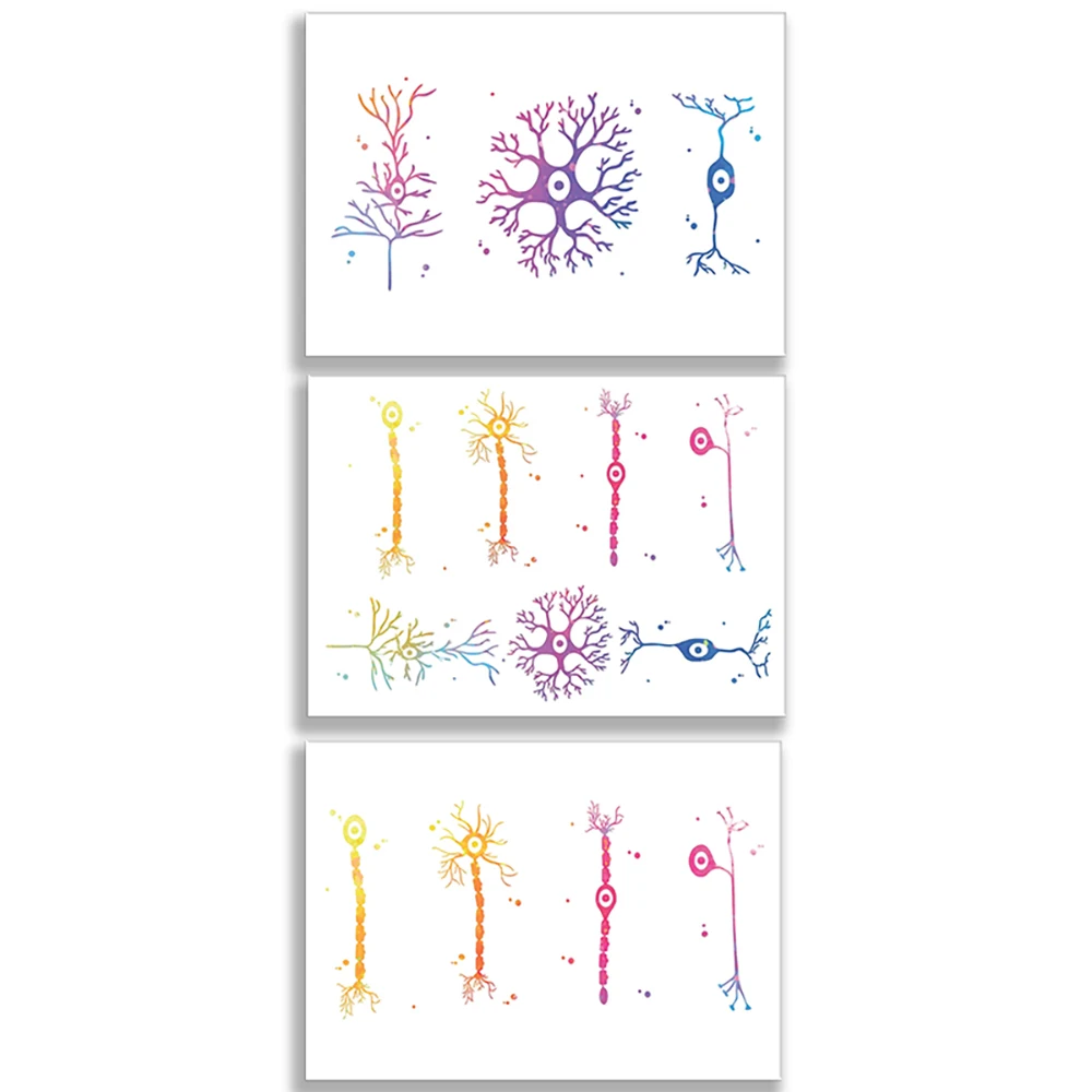 Watercolor Cortex Cell Art Print Poster - Modular Picture Wall Art Decorative Painting for Home Or Office