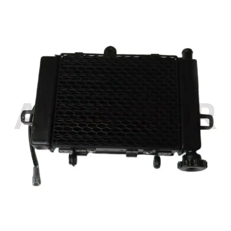 

Water Tank Radiator Assembly For Loncin Voge 250rr Lx250gs-3