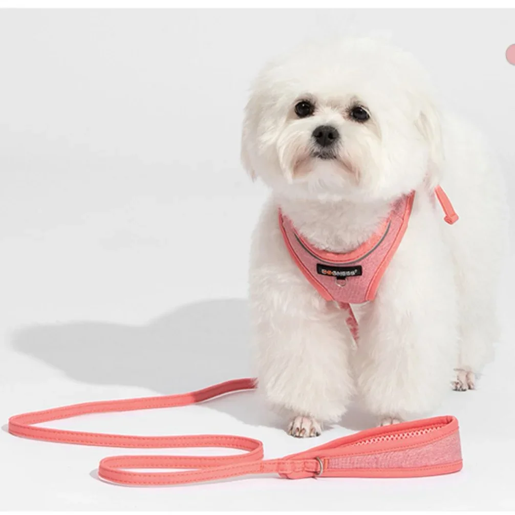 

Custom Outdoor Walking Leash Soft Luxury Pet Chest Dog Harness Set