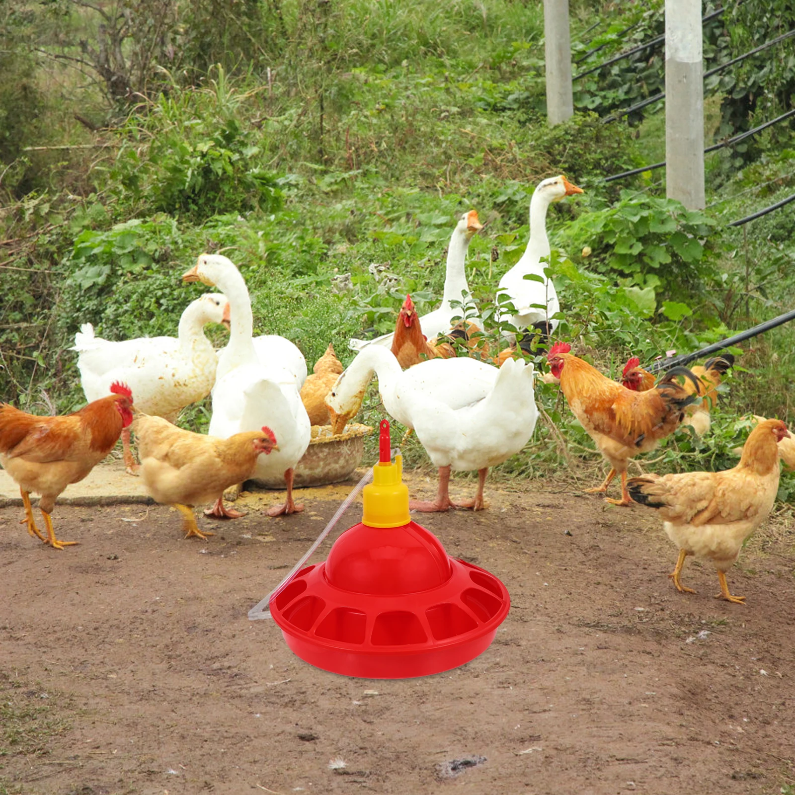 

Water Automatic Poultry Waterer Bowl Chicken Farming Tool Durable Feeder Plastic Poultry Supplies Pet Bird Feeder Easy Clean