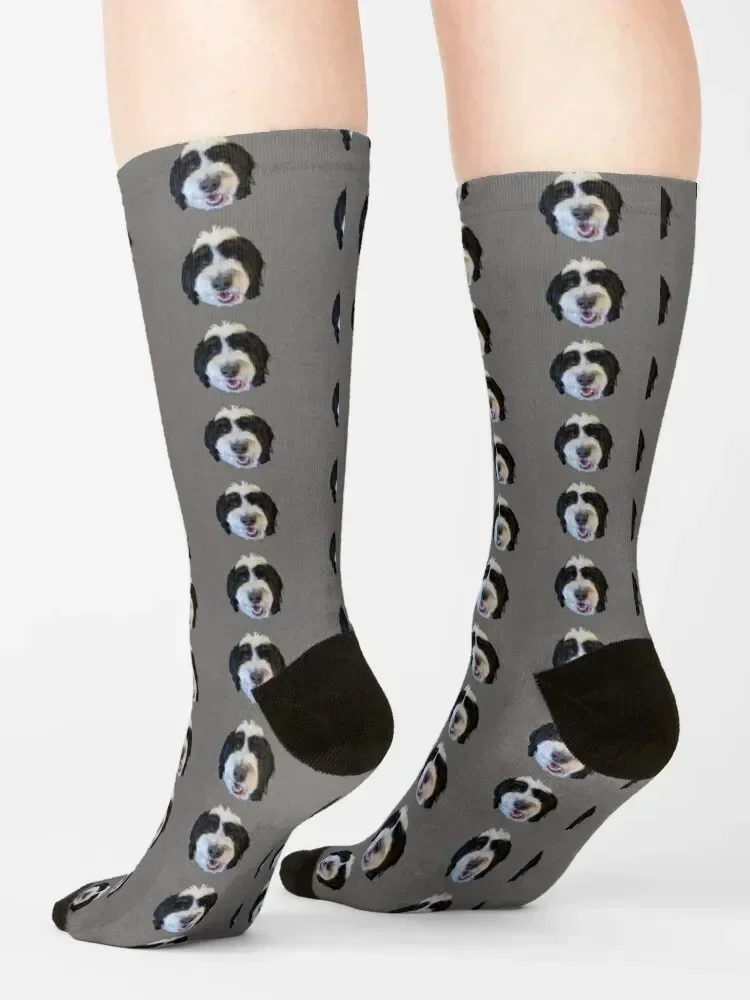 Clark the Bernedoodle Socks hiphop loose sports and leisure Soccer Mens Socks Women's