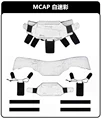 Style1-MCAP