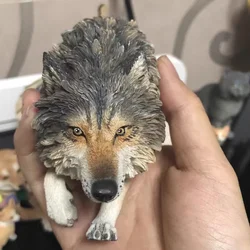 Jxk 1/6 North American Gray Wolf Model Animal Figure Collector Gk Realistic Decoration Collection Model Gift