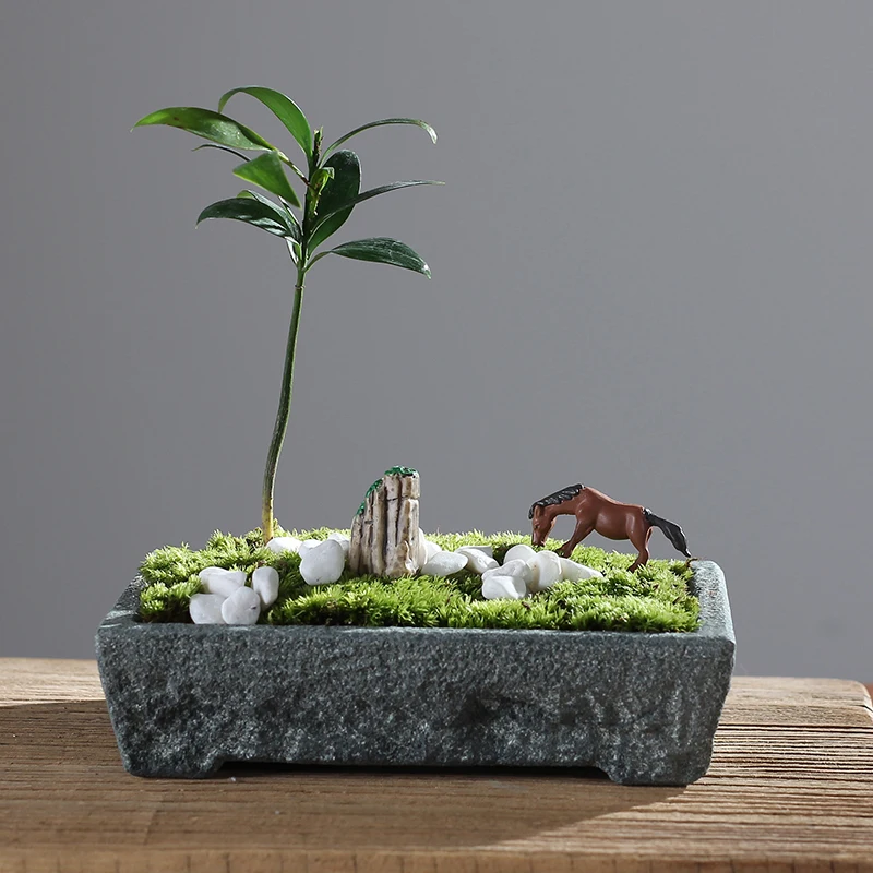 Natural Stone Trough Flowerpot Plant Landscape Plate Home Decoration Retro Creative Vase Potted Office Table Garden Decor Gift