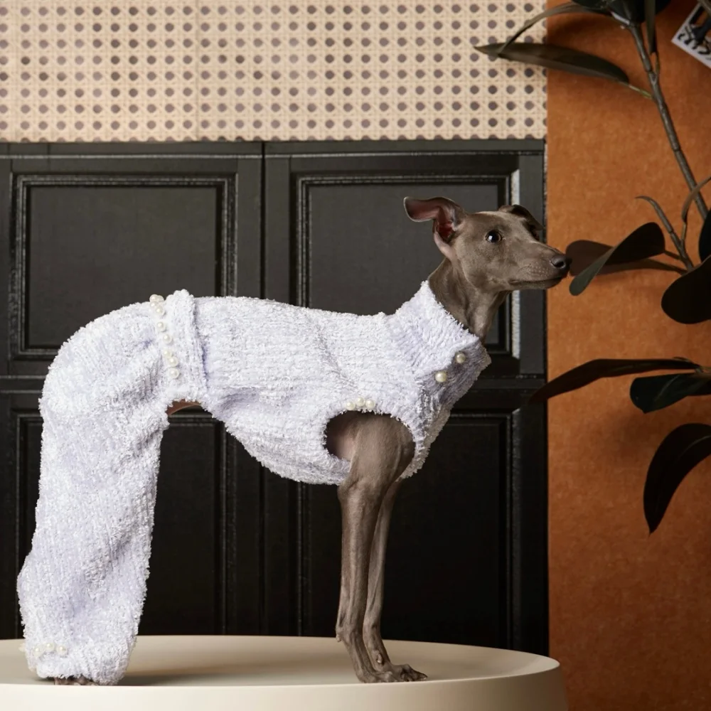 combinaison-elegante-en-tissu-acetate-violet-doux-pour-chien-avec-haut-sans-manches-chaud-et-pantalon-droit-pour-chien-italien-style-manteau